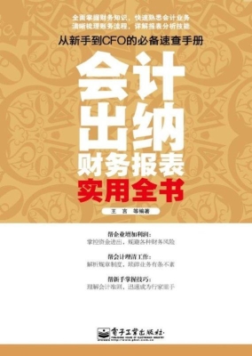 会计、出纳、财务报表