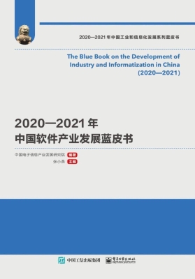 2020—2021年中国软件
