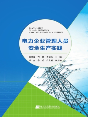 电力企业管理人员安全