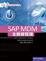 SAP MDM主数据管理