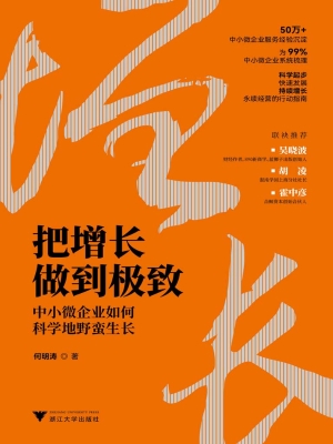 把增长做到极致：中小微