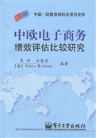中欧电子商务绩效评估