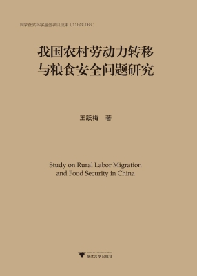 我国农村劳动力转移与