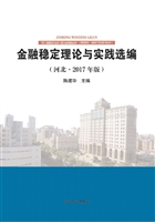 金融稳定理论与实践选