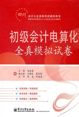 初级会计电算化全真模