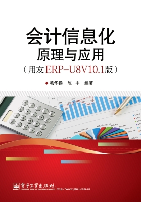 会计信息化原理与应用