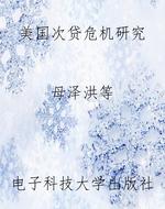 美国次贷危机研究