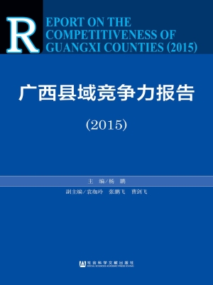 广西县域竞争力报告（20