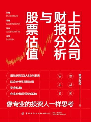 上市公司财报分析与股
