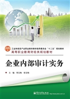 企业内部审计实务