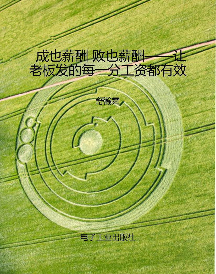 成也薪酬 败也薪酬—