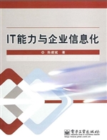 IT能力与企业信息化