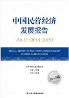 中国民营经济发展报告