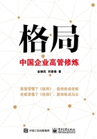 格局——中国企业高管