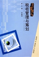 税收管理与筹划