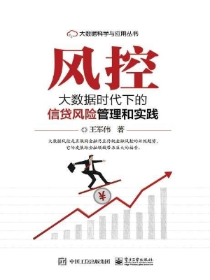 风控——大数据时代下