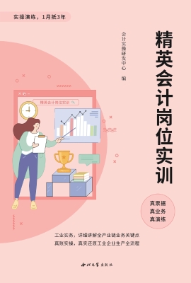 精英会计岗位实训