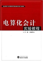 电算化会计实验教程