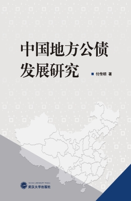 中国地方公债发展研究