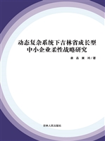 动态复杂系统下吉林省