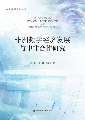 非洲数字经济发展与中