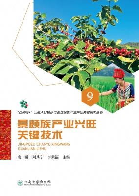 景颇族产业兴旺关键技