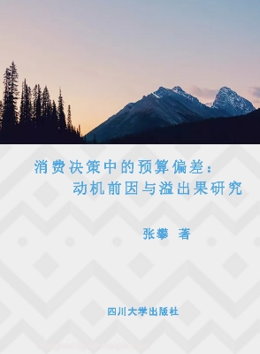 消费决策中的预算偏差