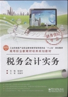 税务会计实务