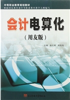 会计电算化