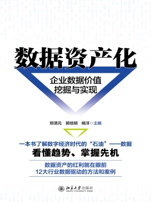 数据资产化：企业数据价