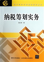纳税筹划实务