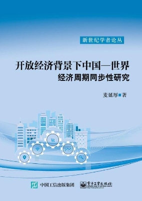 开放经济背景下中国—