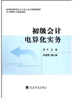 初级会计电算化实务