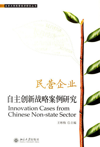 民营企业自主创新战略