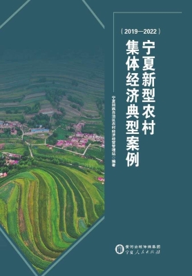 宁夏新型农村集体经济