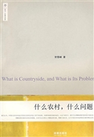 什么农村，什么问题