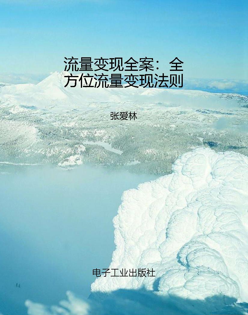 流量变现全案：全方位流