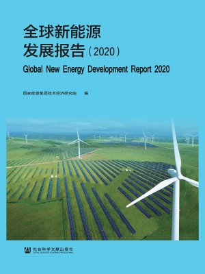 全球新能源发展报告（20