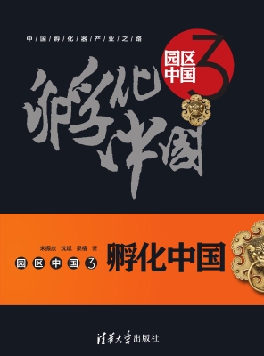 园区中国 3——孵化中