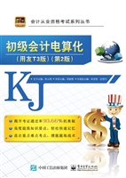 初级会计电算化（用友T3