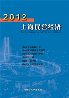 2012上海民营经济