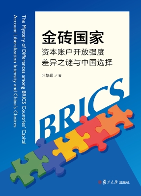 金砖国家资本账户开放