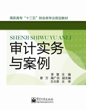 审计实务与案例