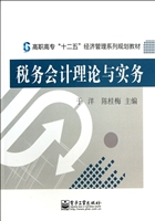 税务会计理论与实务