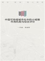 中国可持续城市化中的