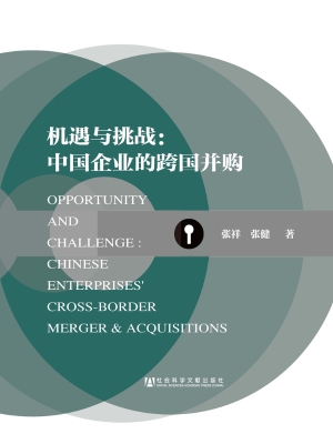 机遇与挑战：中国企业的