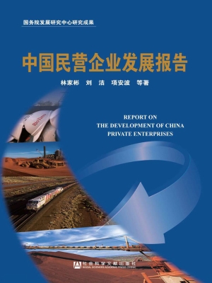 中国民营企业发展报告
