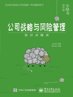 公司战略与风险管理—