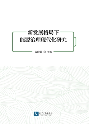 新发展格局下能源治理