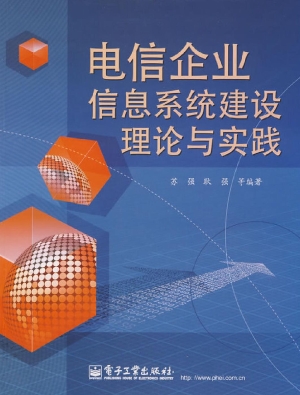 电信企业信息系统建设